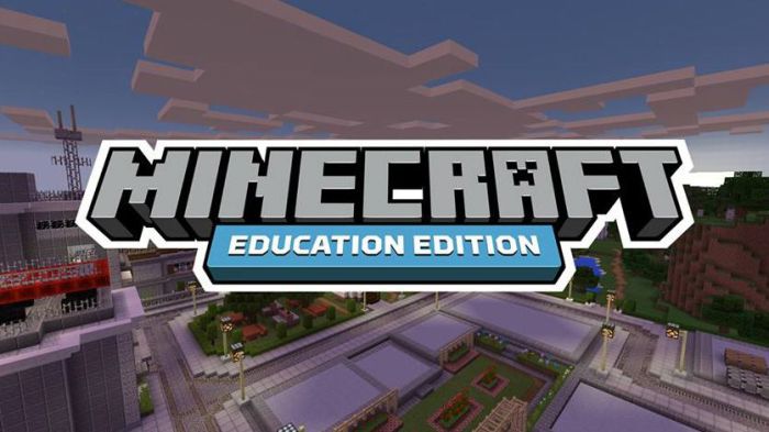 3D Minecraft for Education